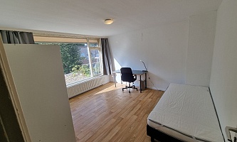 Student room in Tilburg MON /  Monfortanenlaan 1