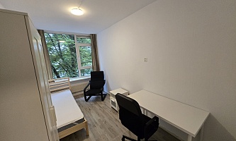 Student room in Tilburg PHS / Postelse Hoeflaan 1